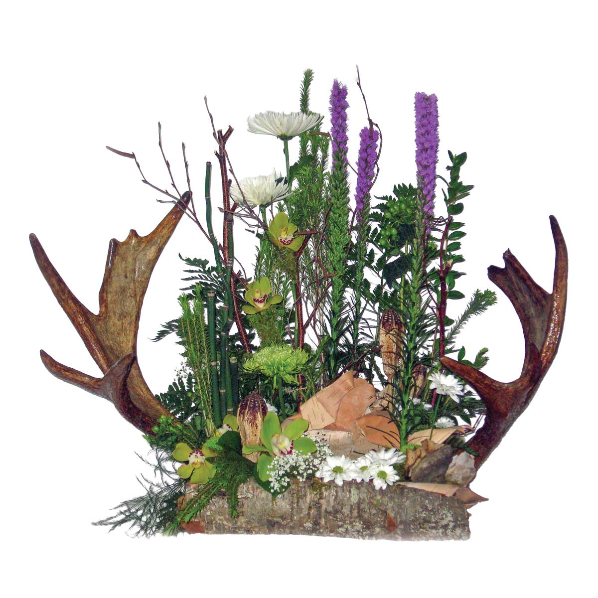Nature NA-01